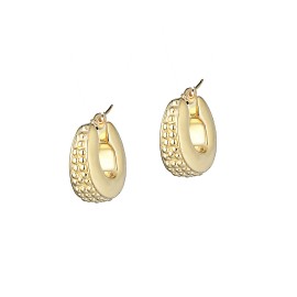 Orecchini Piccolo Cerchio...