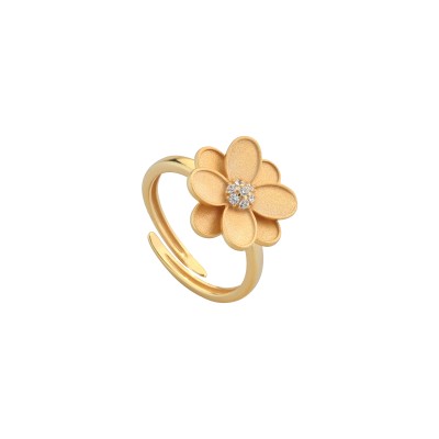 Anello cassiopea - Andromeda
